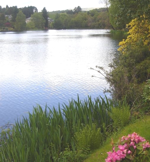 Tannoch Loch beside Mugdock Reservoir