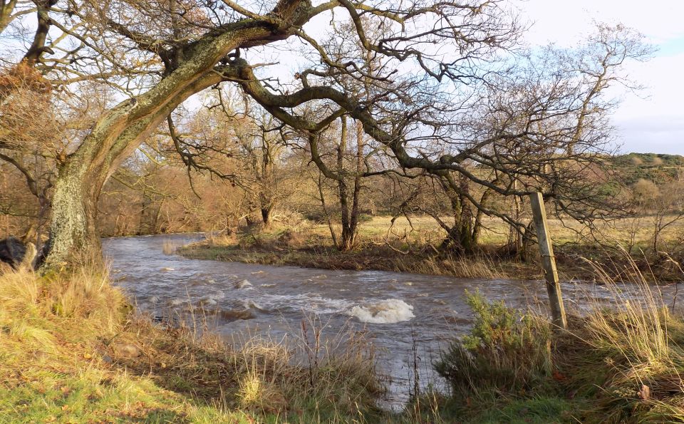 River Avon from Heritage Trail