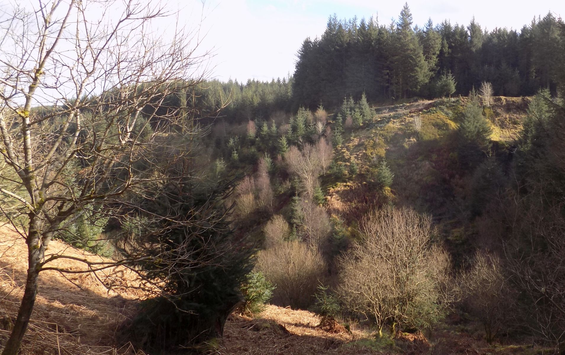 Ascent route to descent point for Peggie's Spout