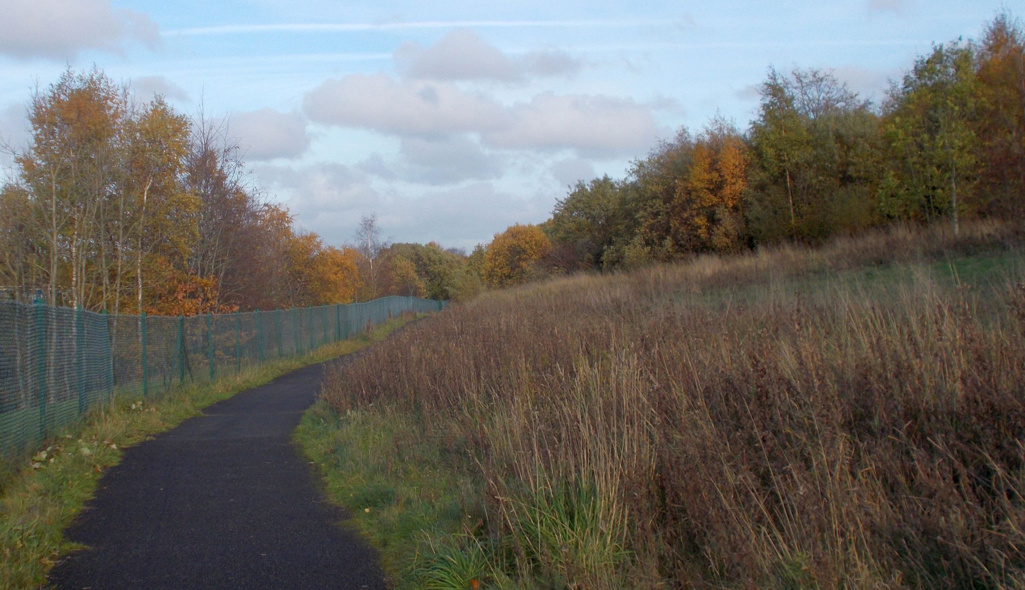 Woods bordering walkway alongside the M77