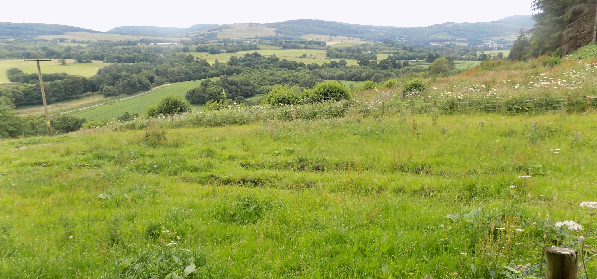 View on ascent to Cluny House above River Tay