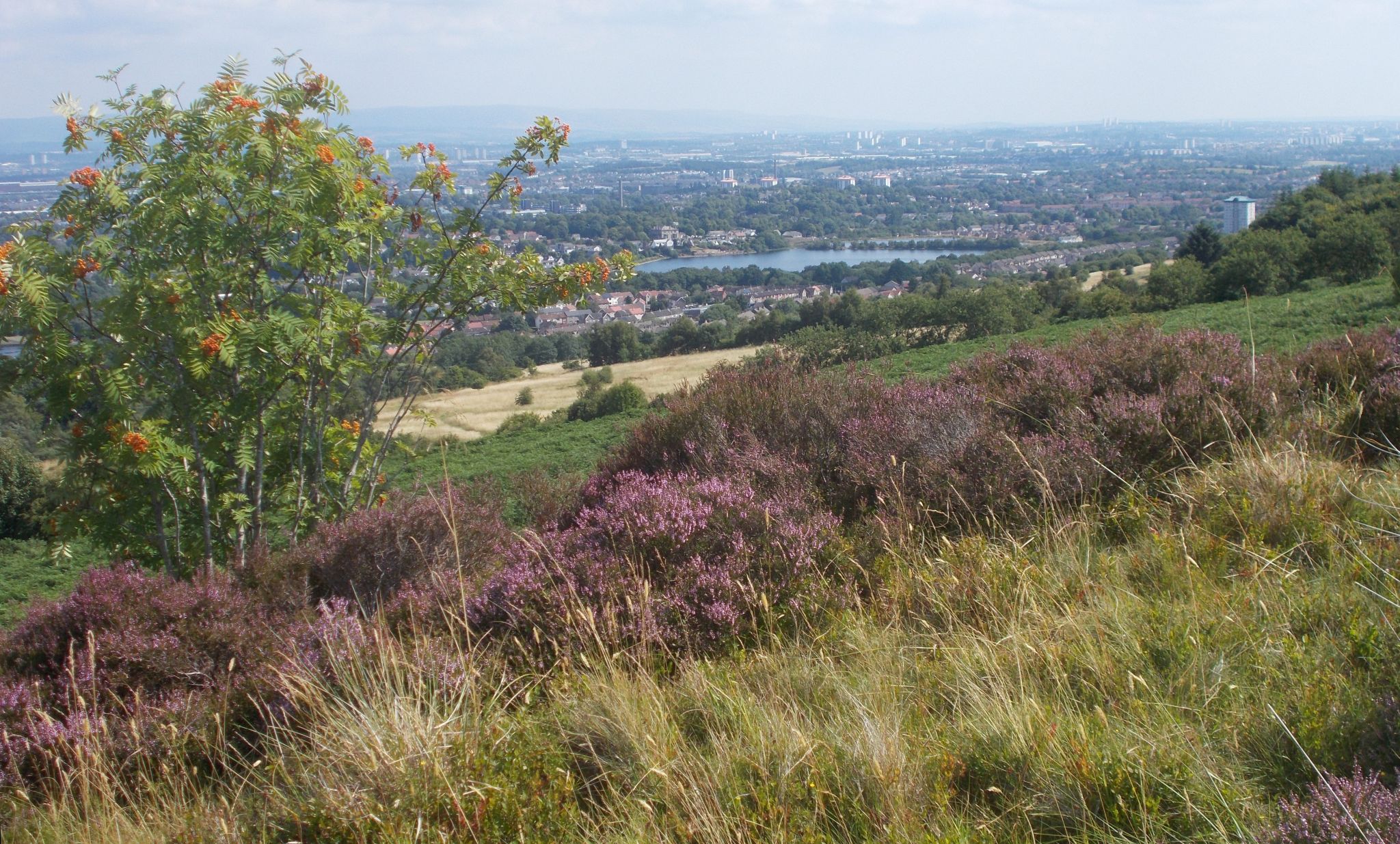 Stanely Reservoir in Paisley from Robertson Park