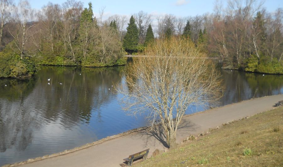 Boating Pond in Rouken Glen Park