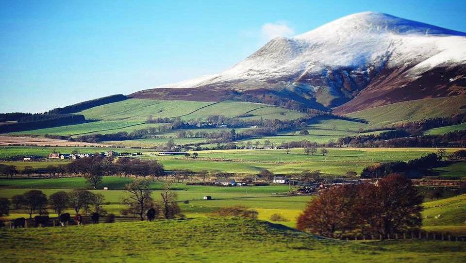 Tinto Hill