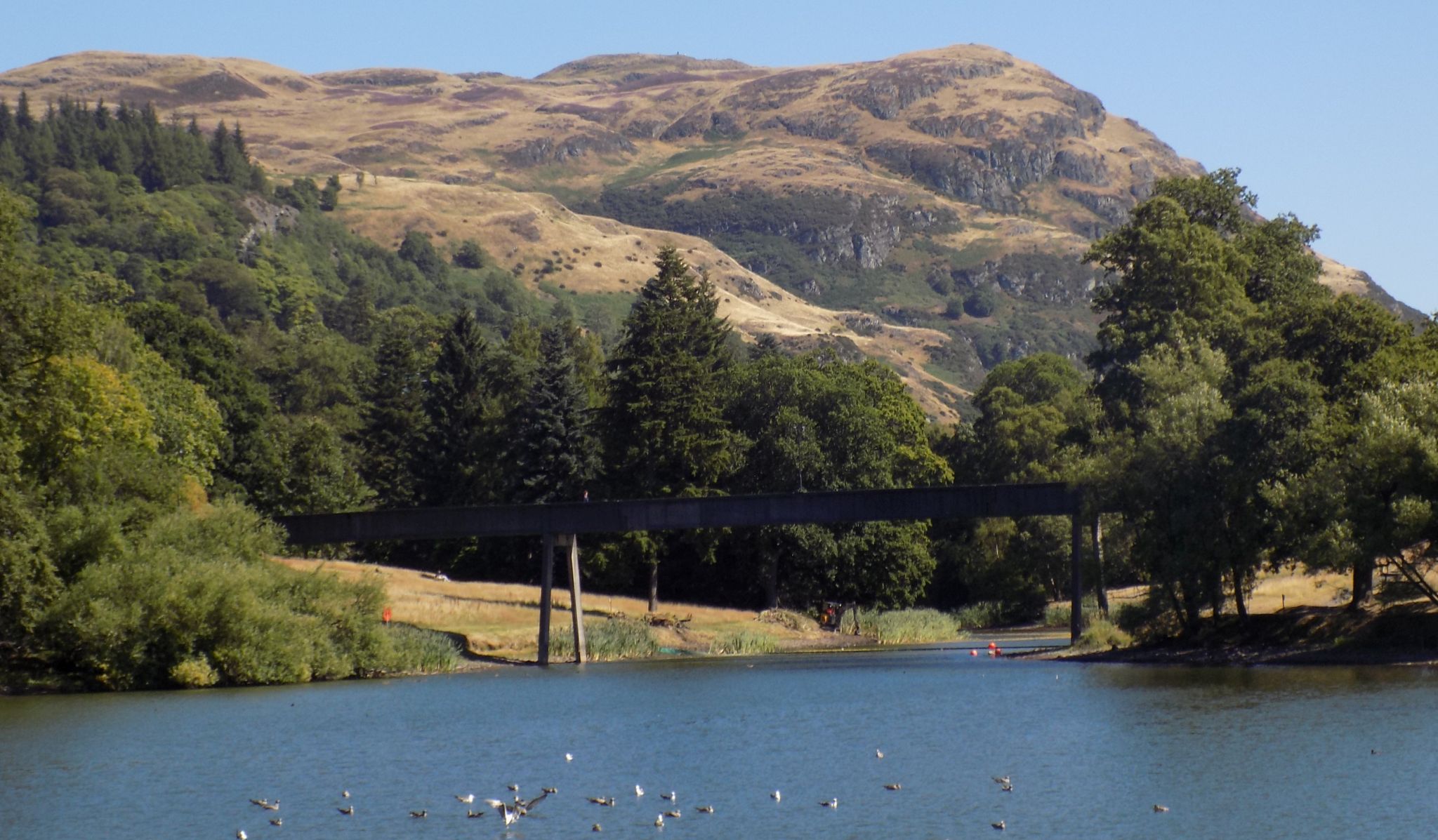 Dumyat in the Ochil Hills from Stirling University campus