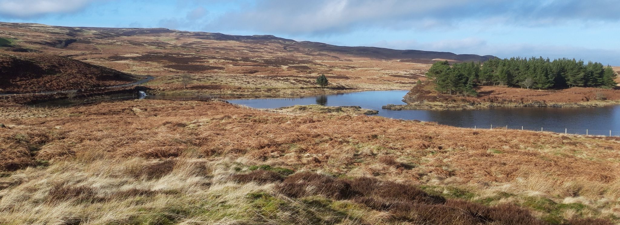 Higher reservoir in Touch Hills