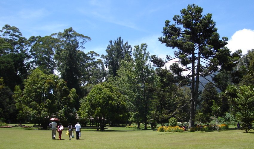 Victoria Park in Nuwara Eliya