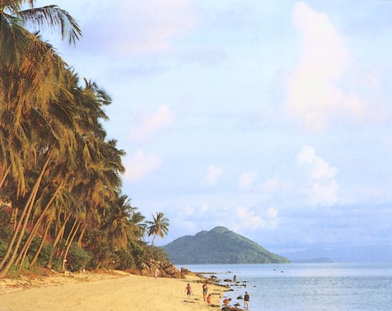 Beach on Koh Samui in Southern Thailand