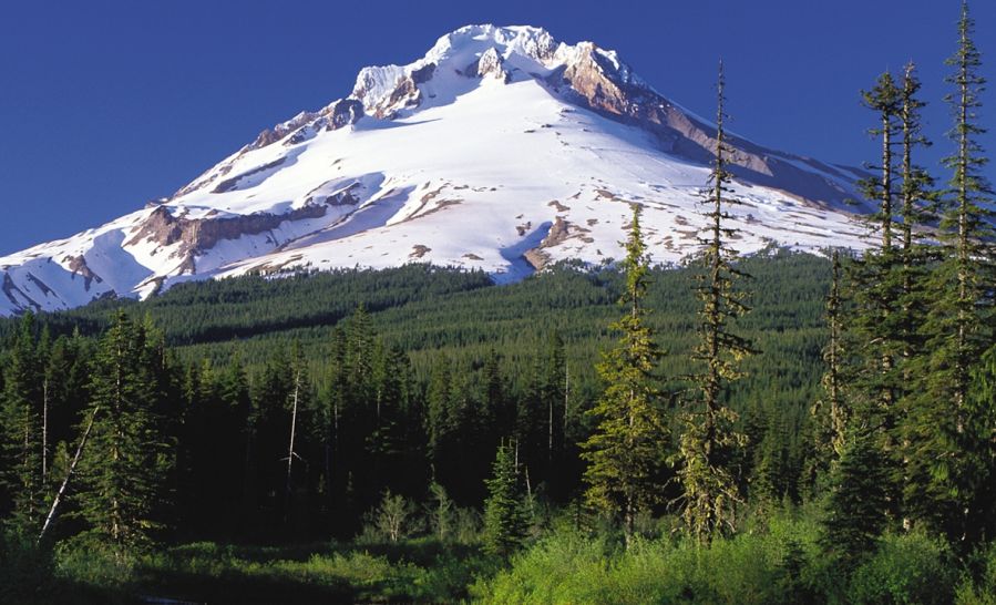 Mount Hood - Highest mountain in Oregon, USA