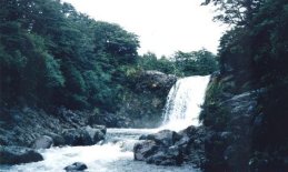 Tawhai Falls in Tongariro National Park in the North Island of New Zealand